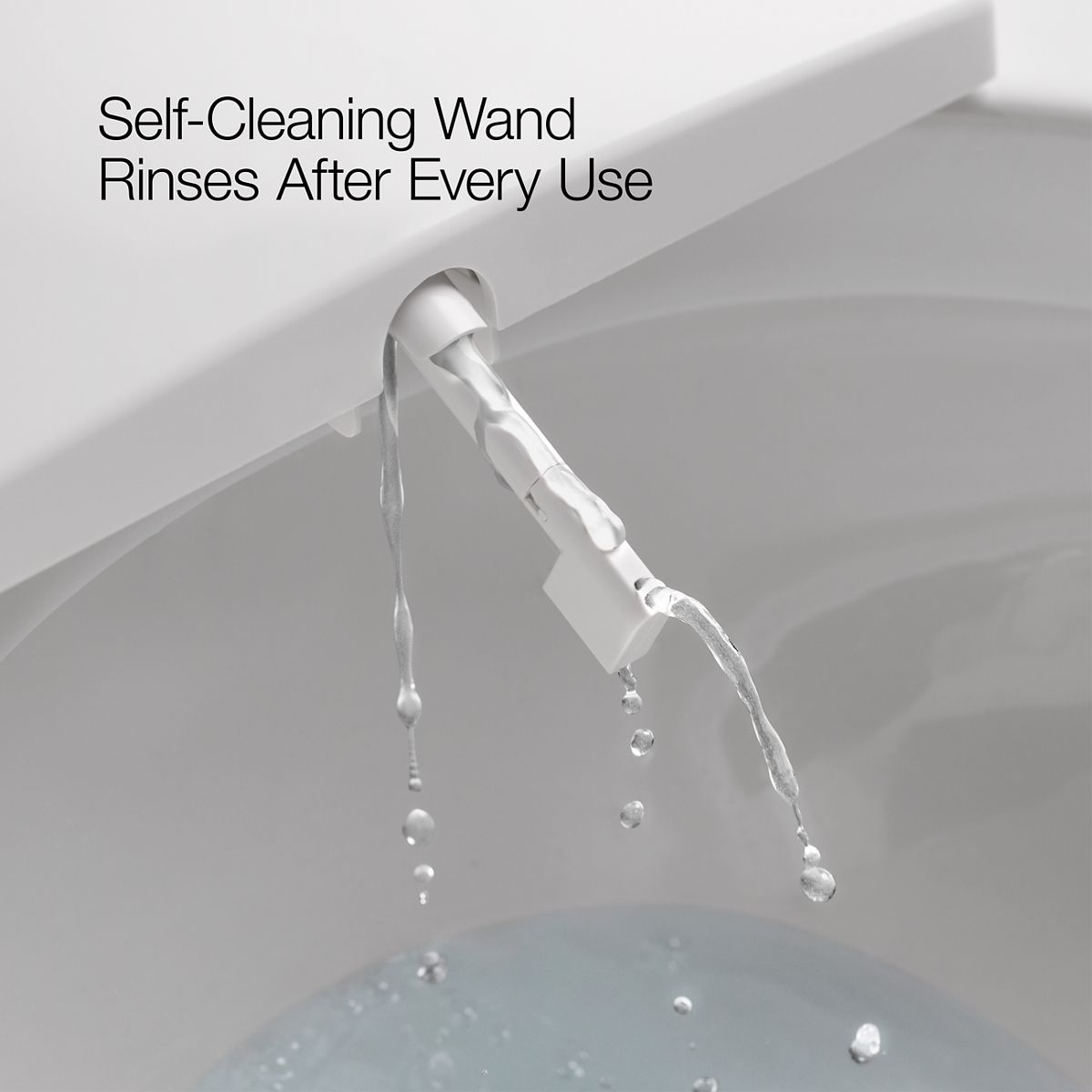 30809-purewash-e815-elongated-bidet-toilet-seat-with-remote-control-6.jpg PureWash® E815 Elongated bidet toilet seat with remote control