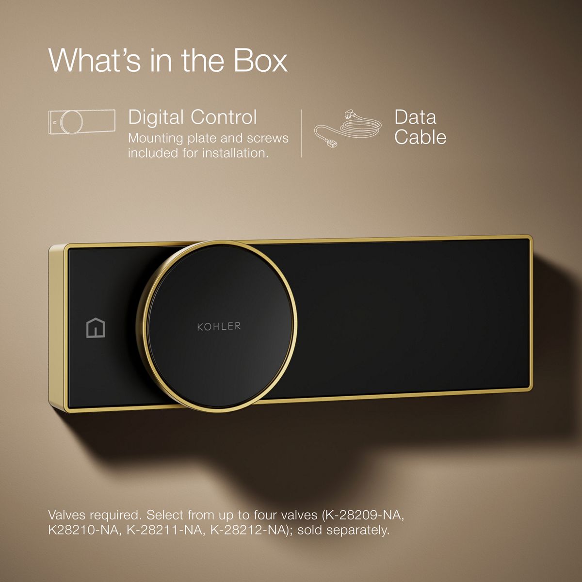 47188-anthem-digital-control-67.jpg Anthem® Digital control