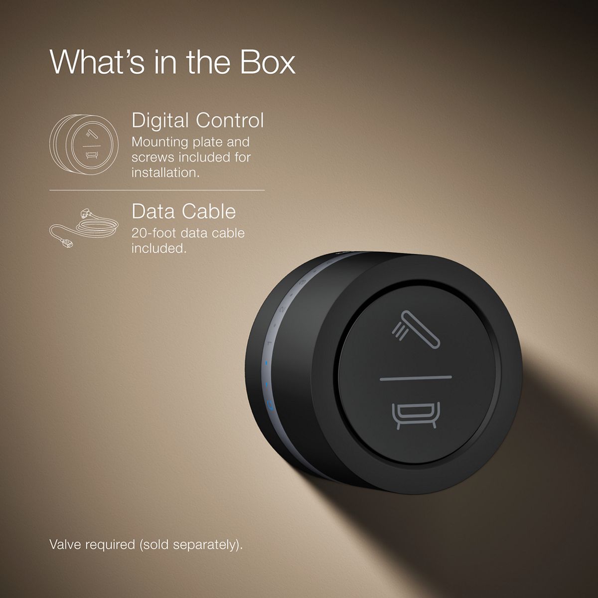 48114-dtv-mode-wall-mount-bath-shower-digital-interface-15.jpg DTV Mode® Wall-mount bath/shower digital interface