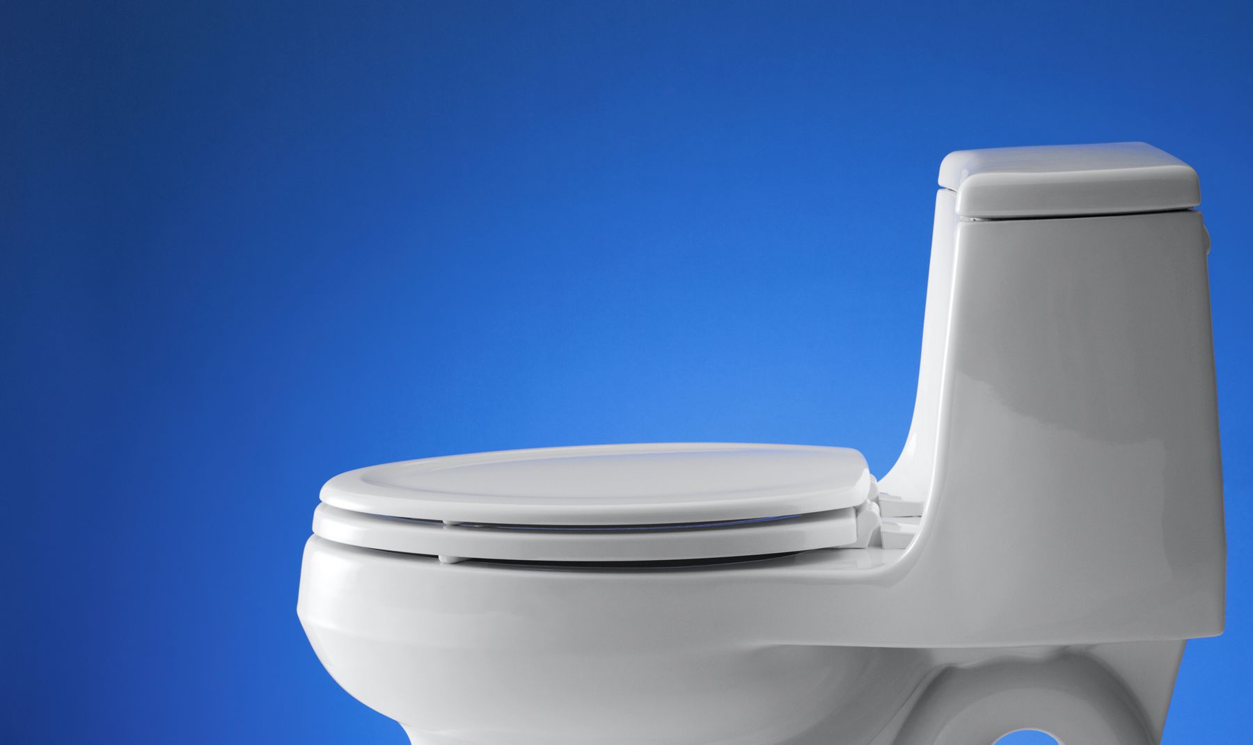 52734-stonewood-elongated-toilet-seat-36.jpg Stonewood® Elongated toilet seat