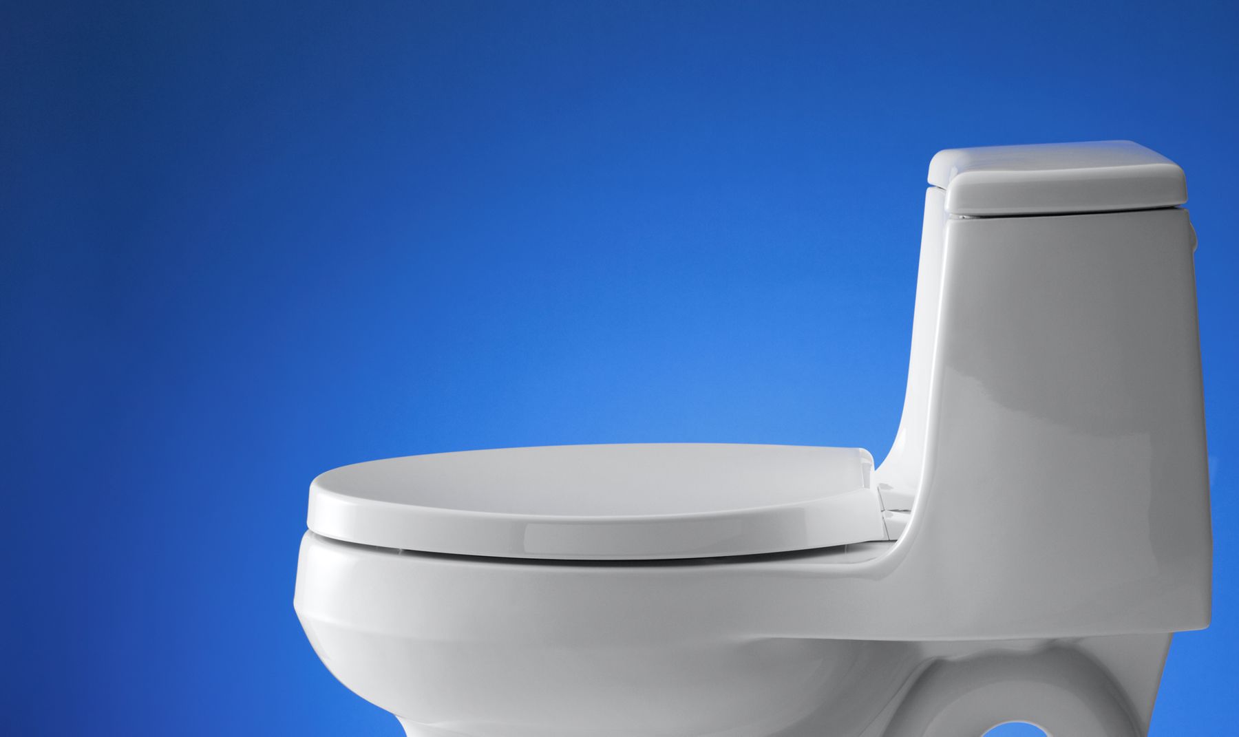 53048-saile-quiet-close-elongated-toilet-seat-6.jpg Saile® Quiet-Close™ elongated toilet seat