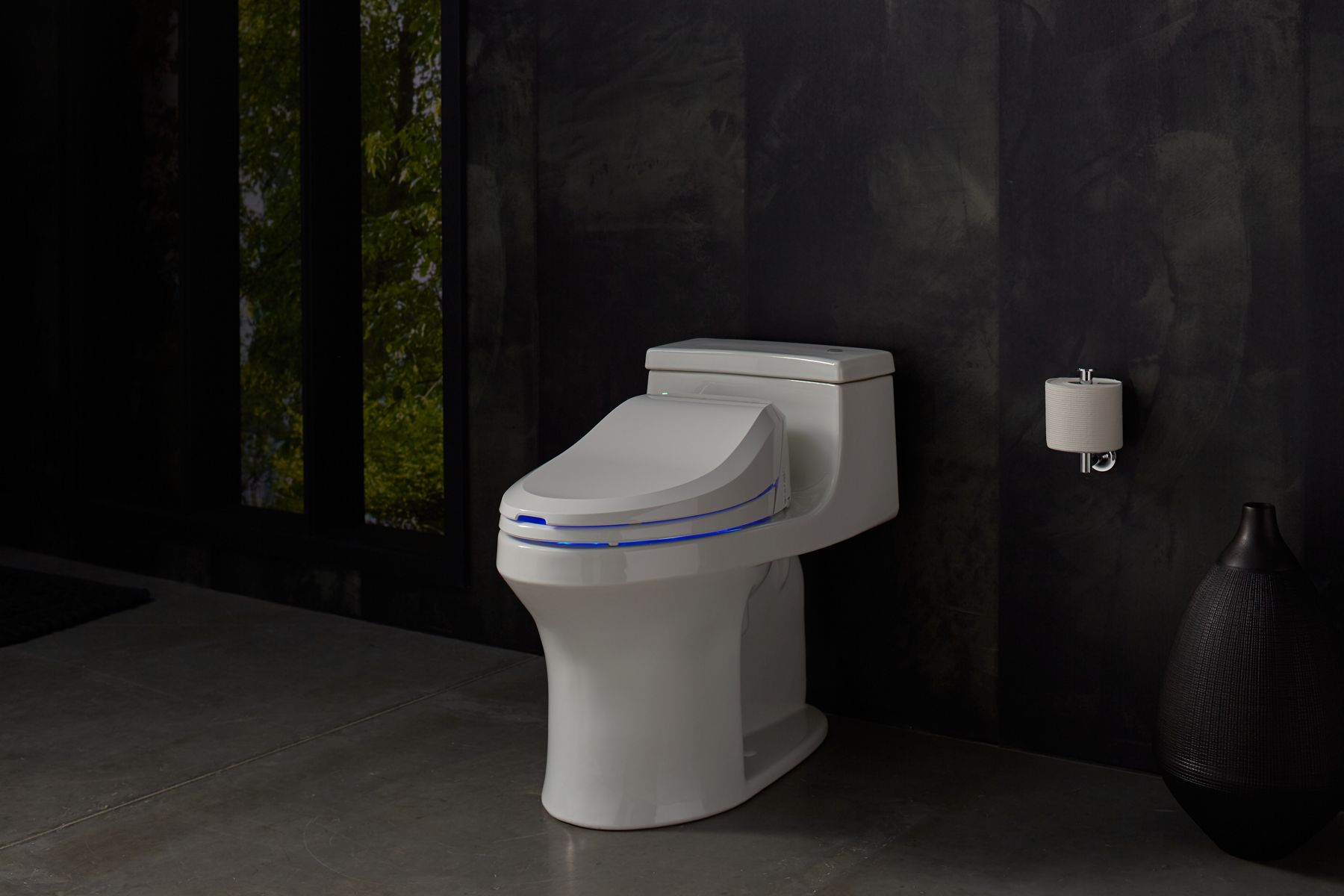 53139-c-125-elongated-bidet-toilet-seat-4.jpg C³®-125 Elongated bidet toilet seat