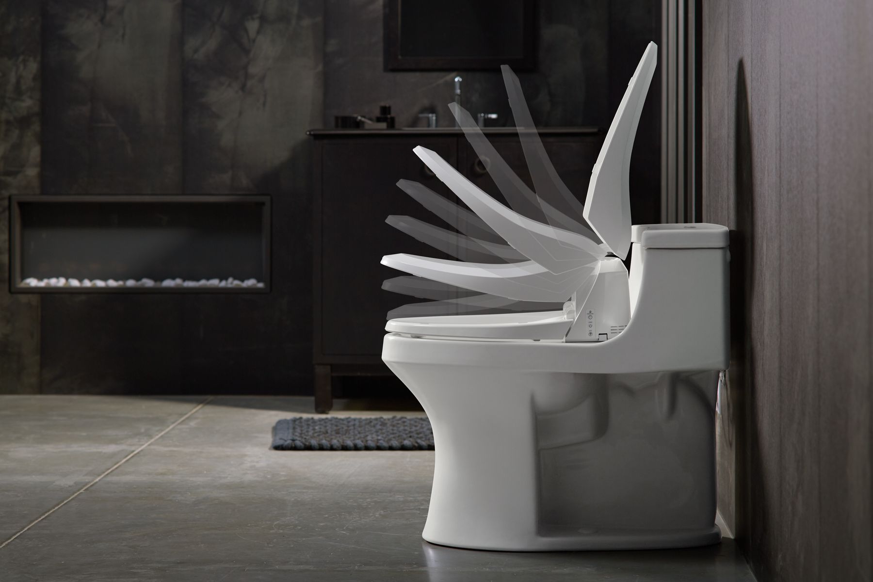 53139-c-125-elongated-bidet-toilet-seat-7.jpg C³®-125 Elongated bidet toilet seat